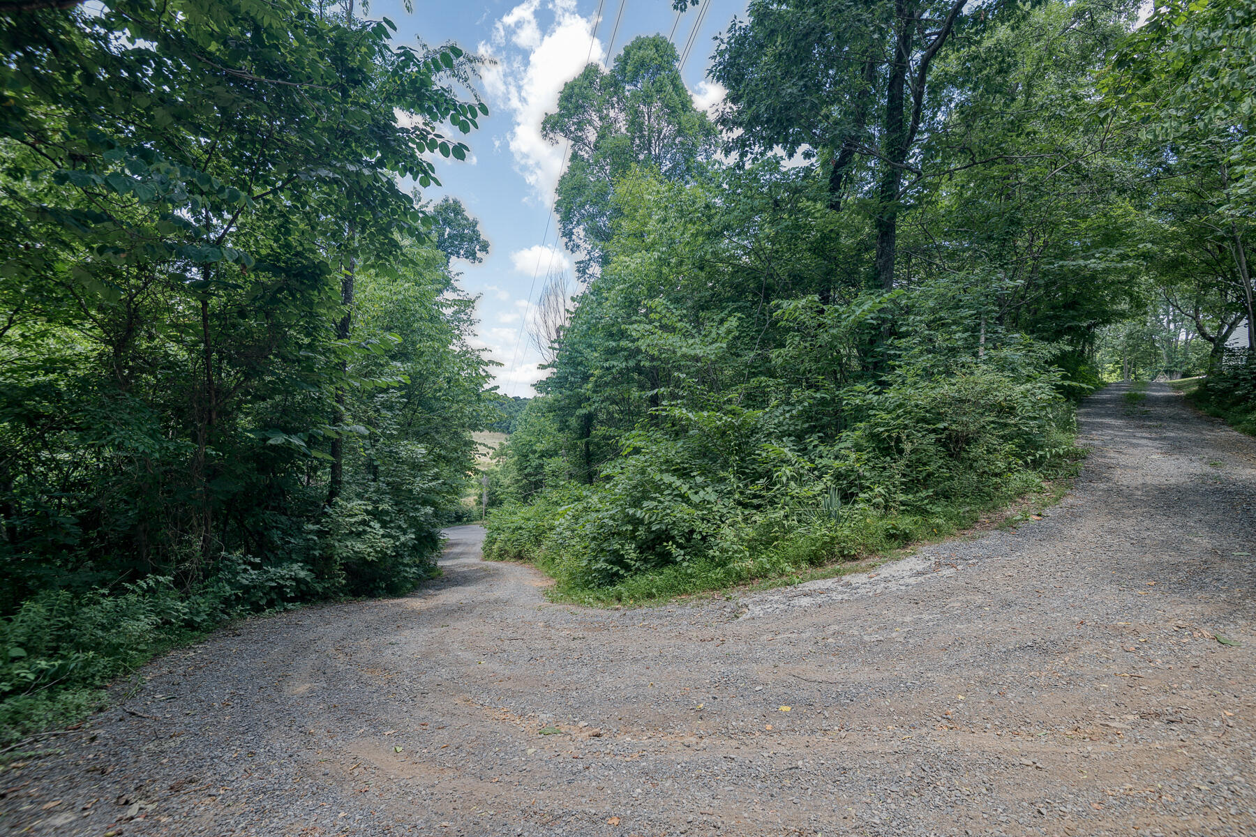 240 Jimmy Keys Road Telford, TN 37690 - Photo 45 of 47 Jimmy Keys 57