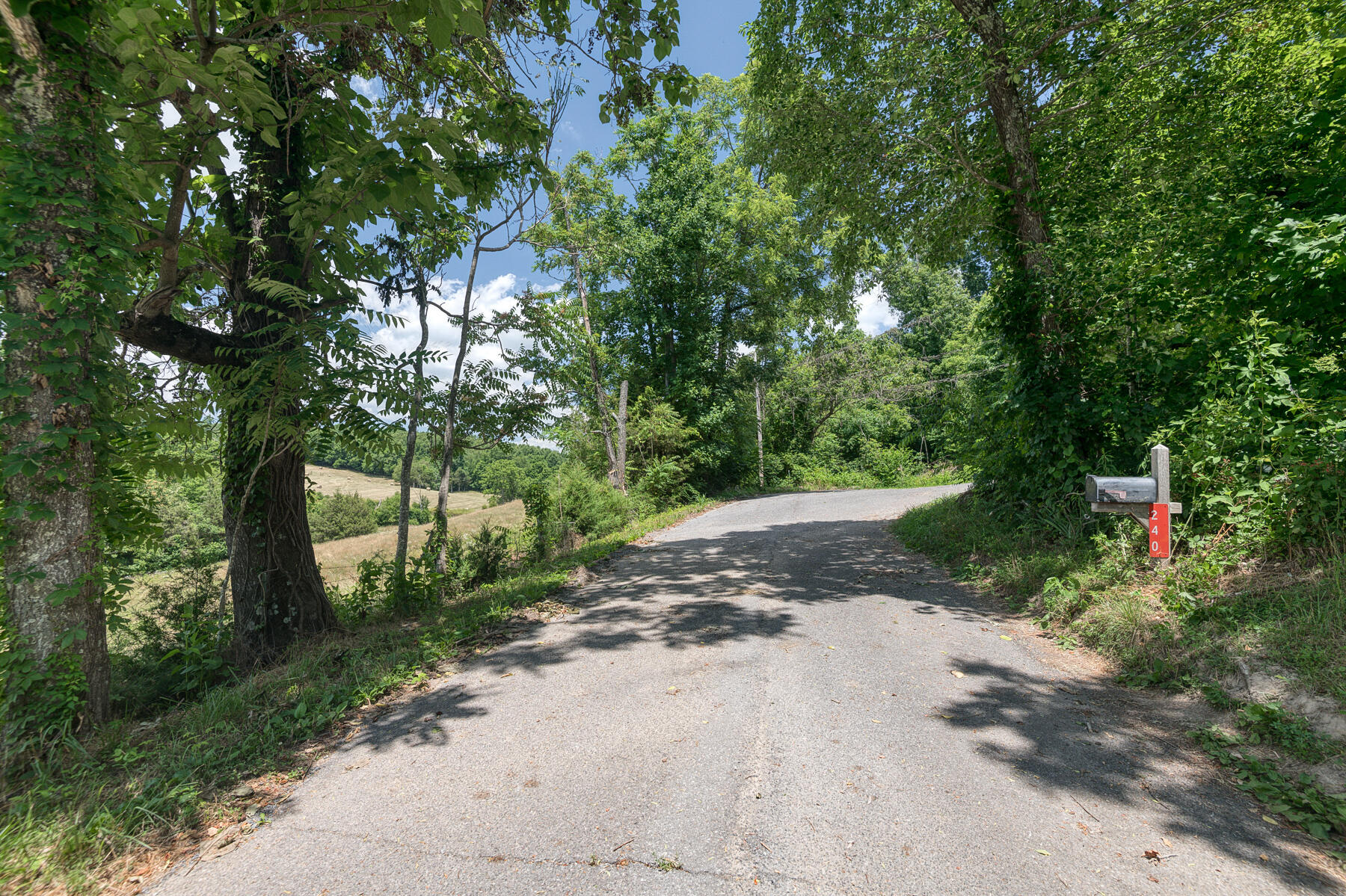 240 Jimmy Keys Road Telford, TN 37690 - Photo 46 of 47 Jimmy Keys 59