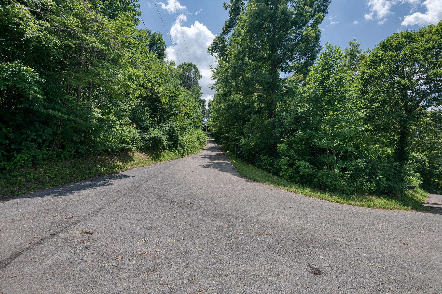 240 Jimmy Keys Road Telford, TN 37690 - Photo 47 of 47 Jimmy Keys 60