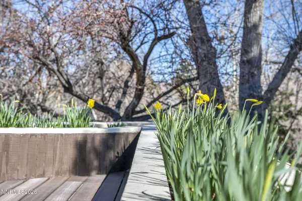 a view of a house with a tree in the background