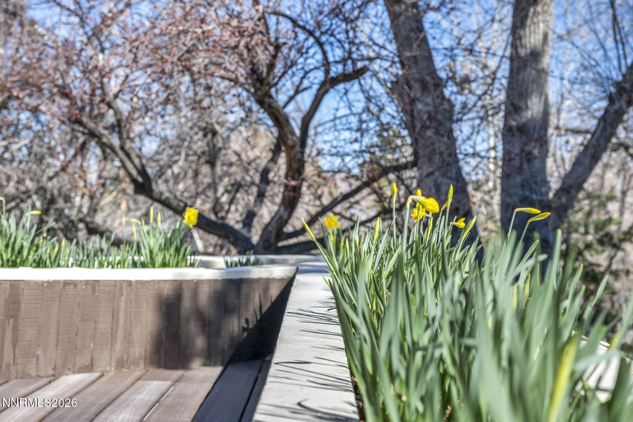 13600 Stoneybrook Drive Reno, NV 89511 - Photo 17 of 120 17-web-or-mls-13600-stoneybrook-dr