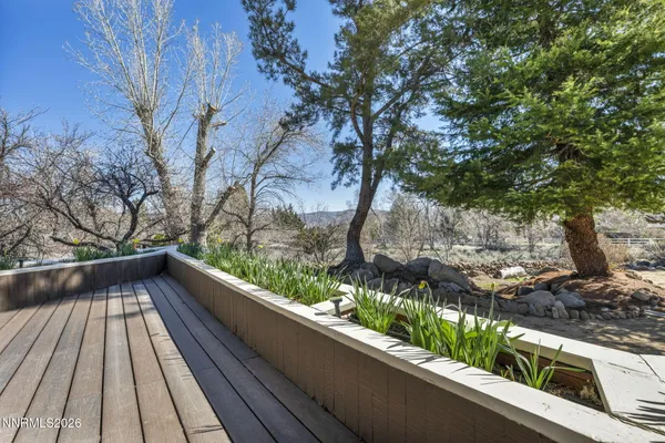 a view of a backyard with large trees