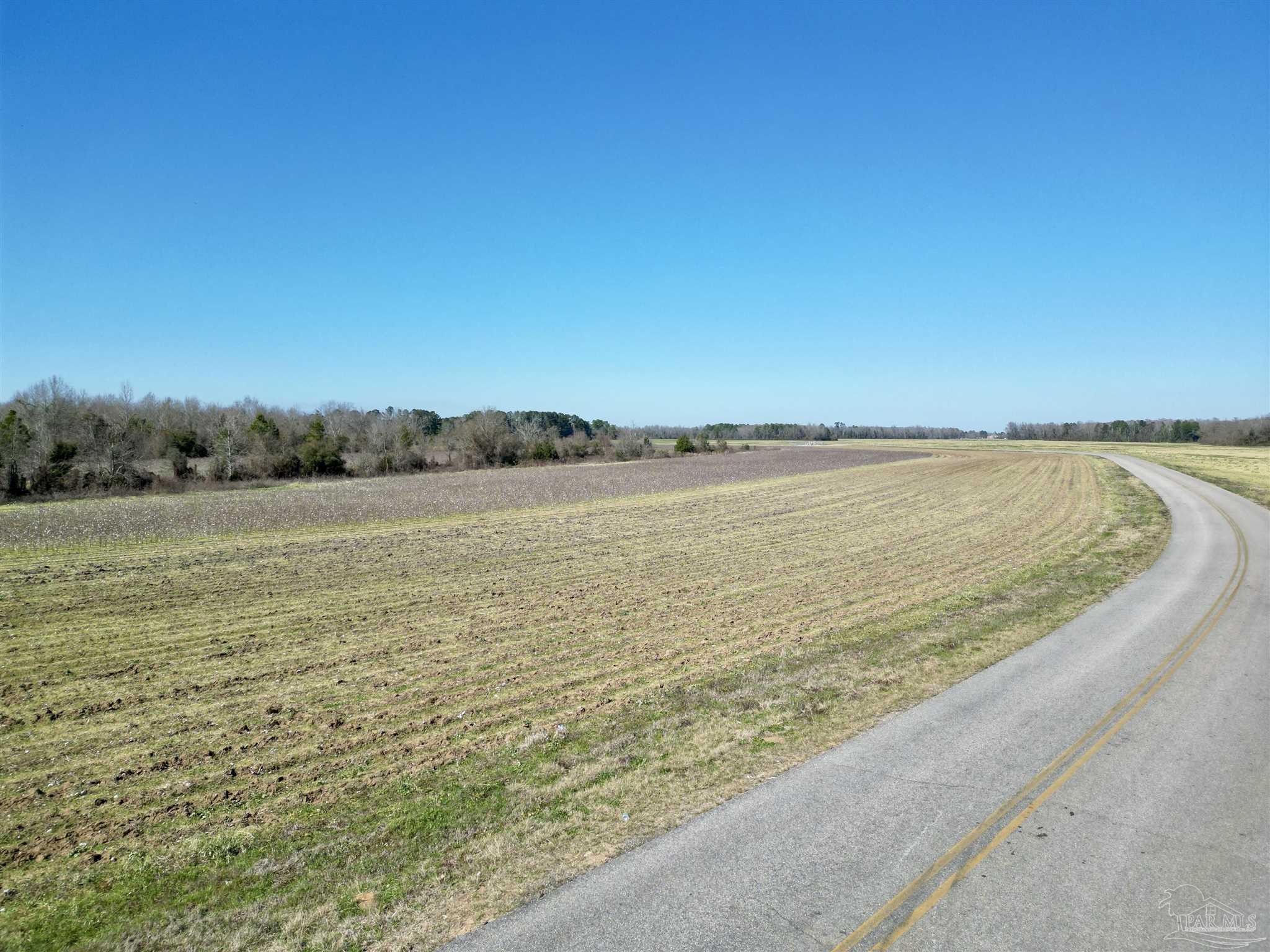 2 Cowpen Creek Road Atmore, AL 36502 - Photo 6 of 10