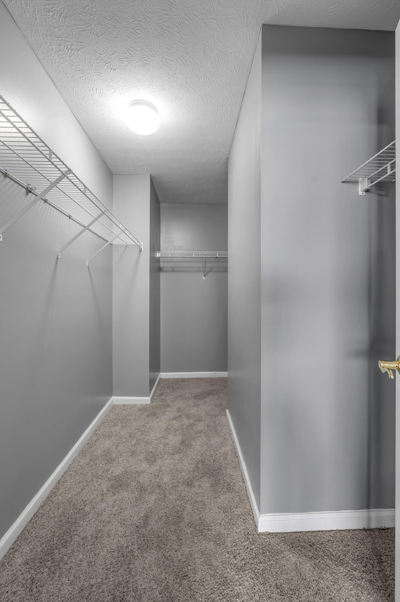 1117 Rolfe Lane Lexington, KY 40513 - Photo 35 of 43 TDB_1015