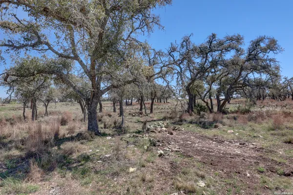 $499,000 | 1443 Gina, Harper, TX 78631