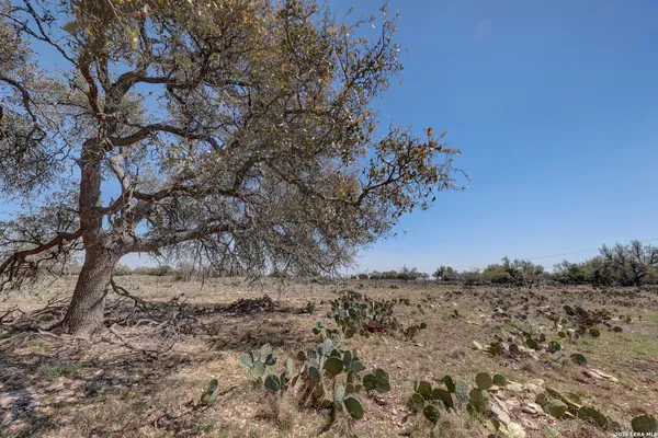 $499,000 | 1443 Gina, Harper, TX 78631