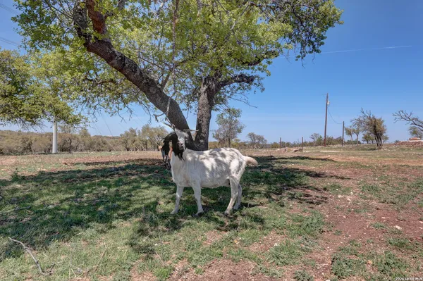 $499,000 | 1443 Gina, Harper, TX 78631