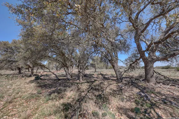 $499,000 | 1443 Gina, Harper, TX 78631