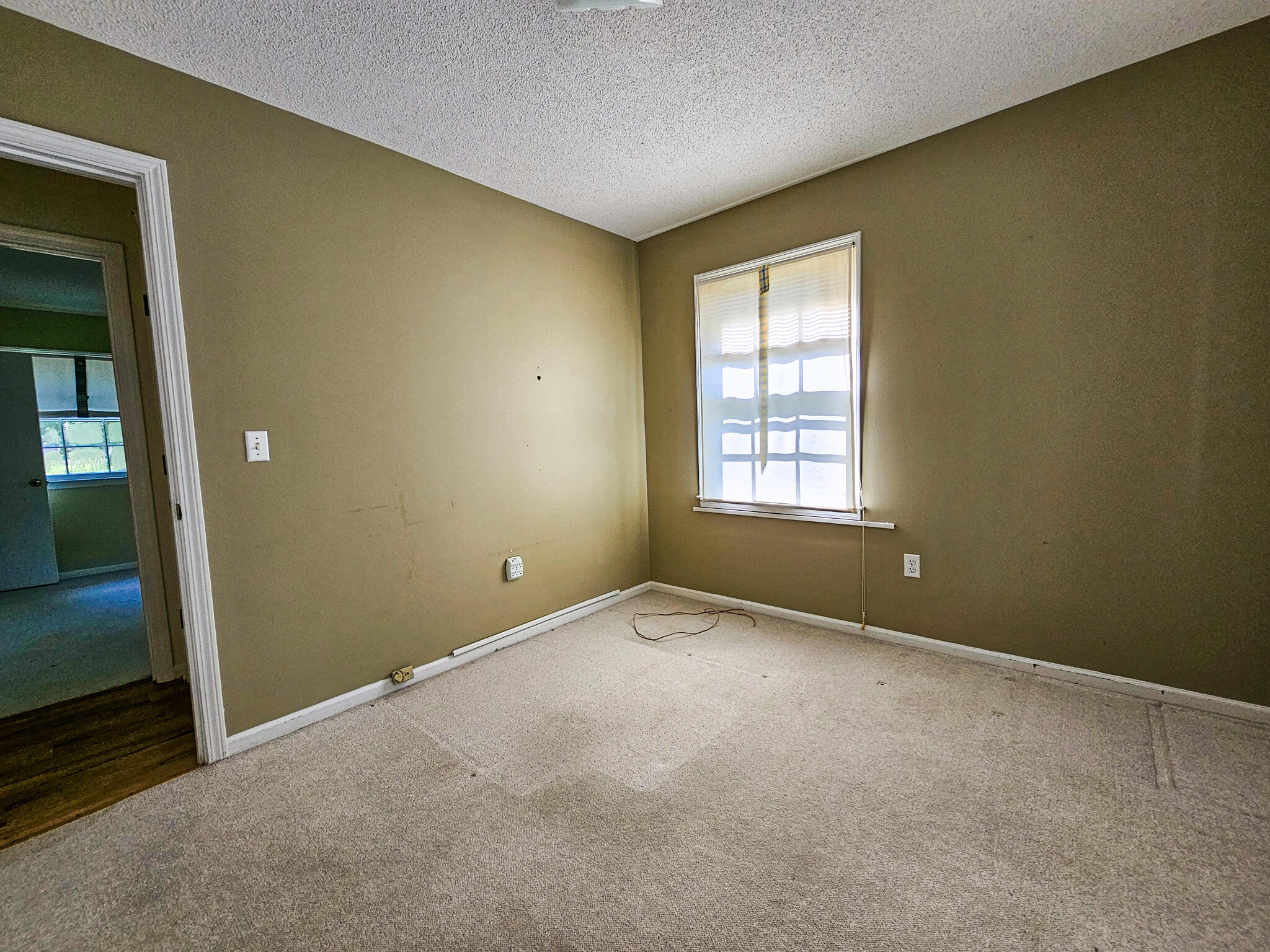 422 Academy Road Walterboro, SC 29488 - Photo 31 of 44 20240814_104134
