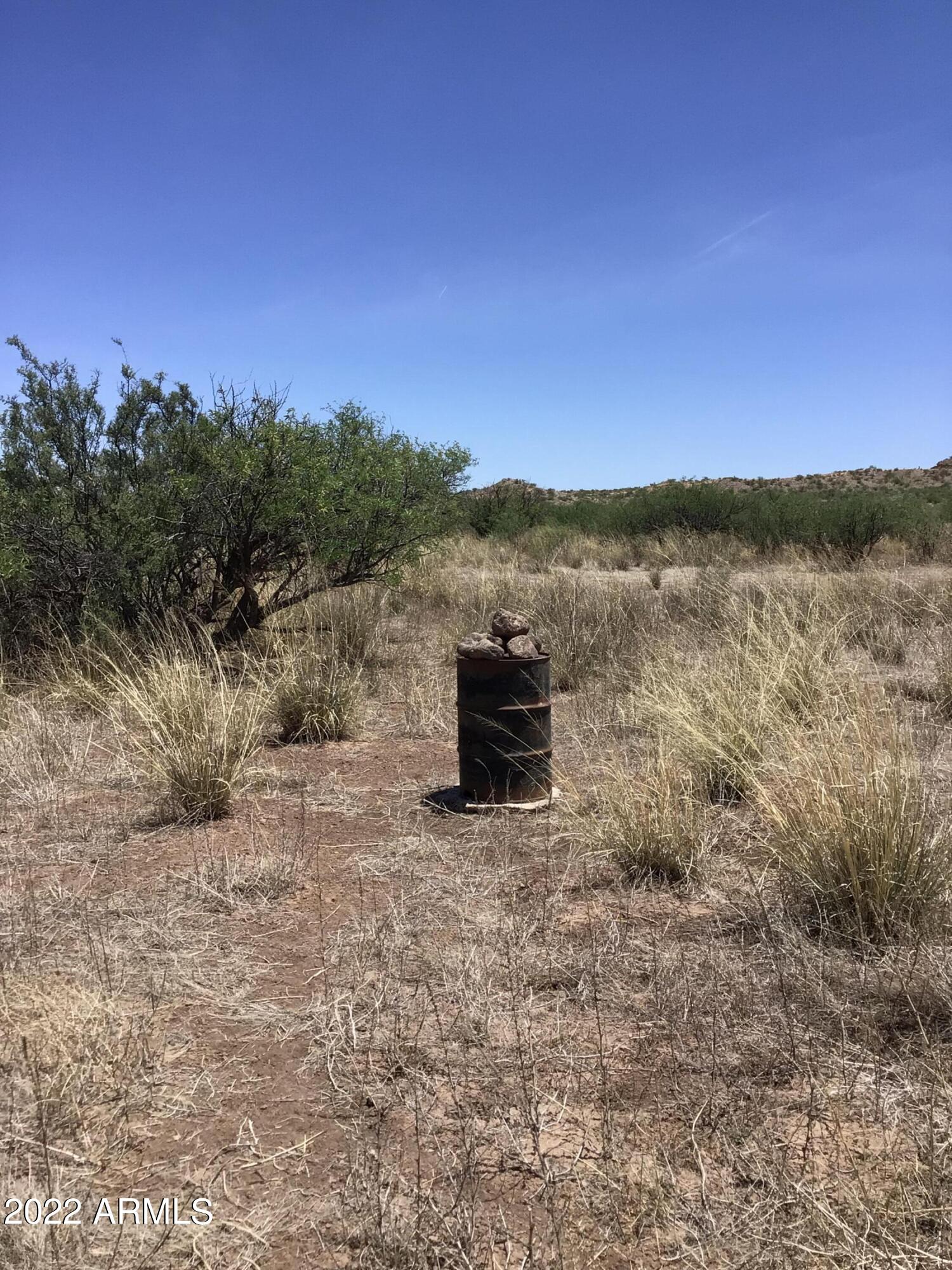 44.23-ac West Grey Bear Road, Unit 101 Willcox, AZ 85643 - Photo 12 of 21 a view of a dry yard with mountain