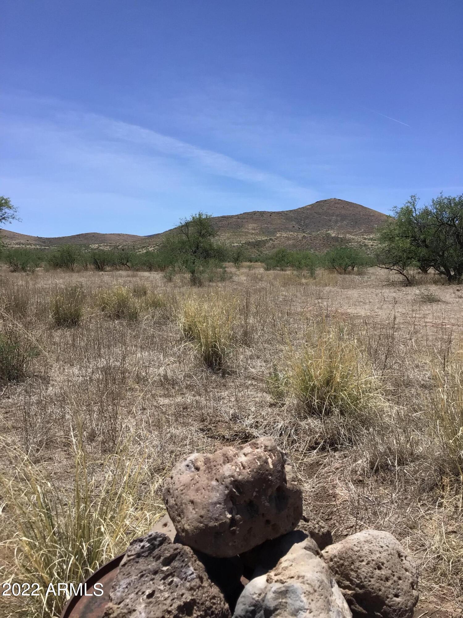 44.23-ac West Grey Bear Road, Unit 101 Willcox, AZ 85643 - Photo 14 of 21 a view of a lake with mountains in the background