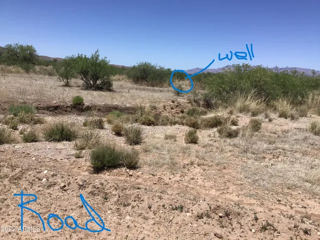 a view of a dry yard