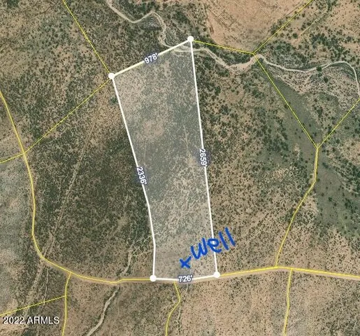 a view of a tree in a yard