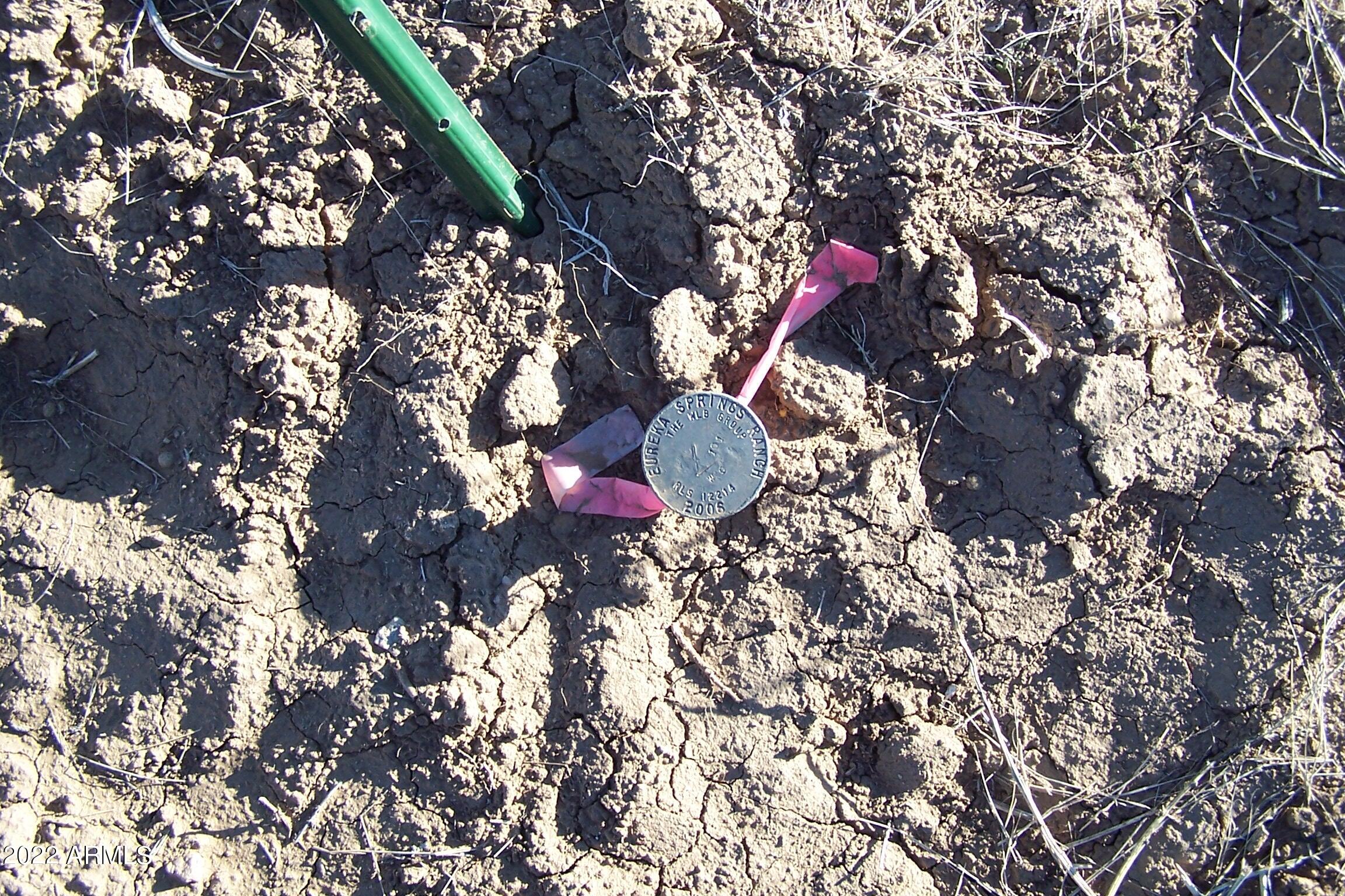 44.23-ac West Grey Bear Road, Unit 101 Willcox, AZ 85643 - Photo 21 of 21 a view of a tree in a yard