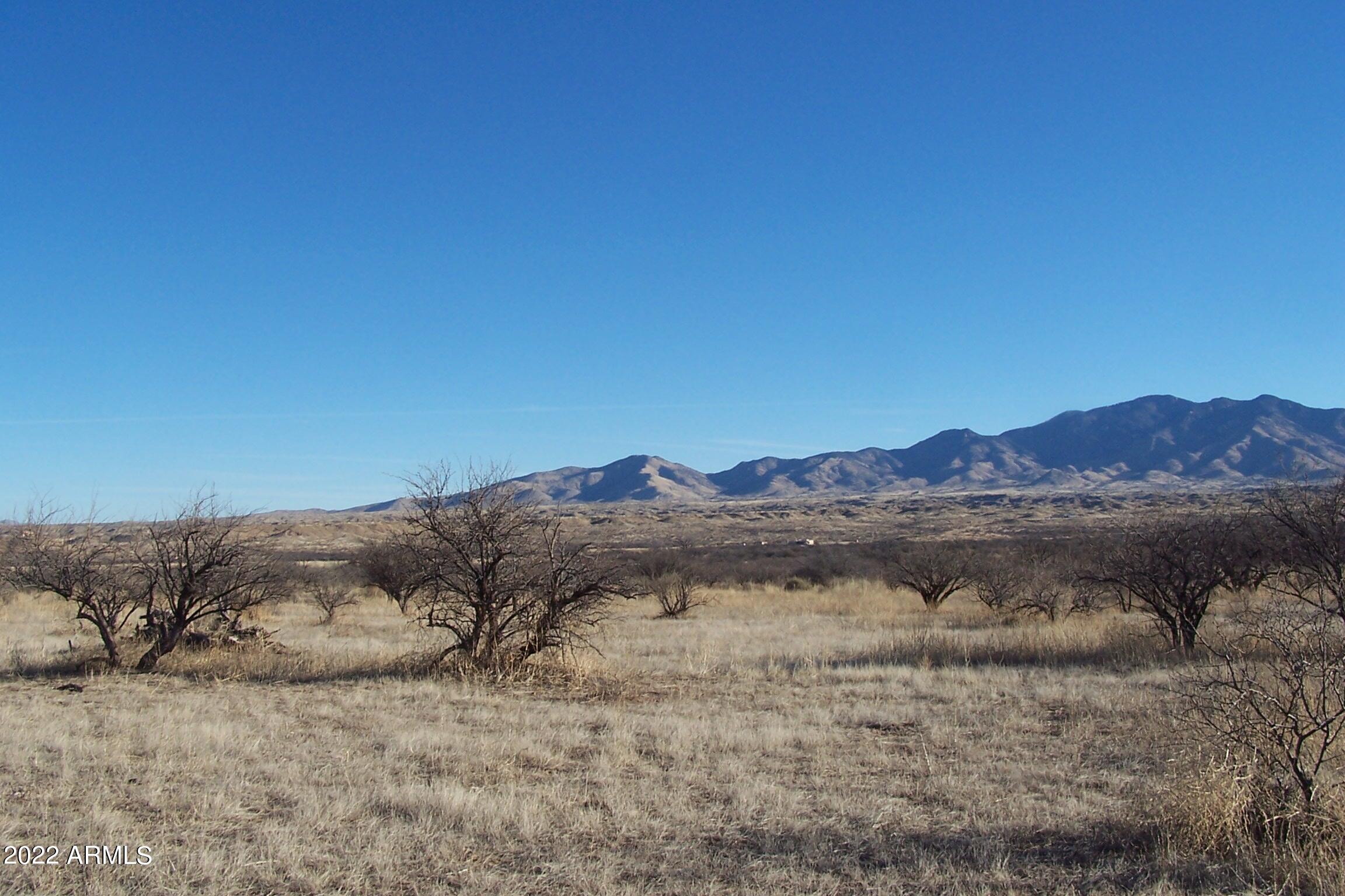 44.23-ac West Grey Bear Road, Unit 101 Willcox, AZ 85643 - Photo 3 of 21 a view of a house with a mountain and a forest