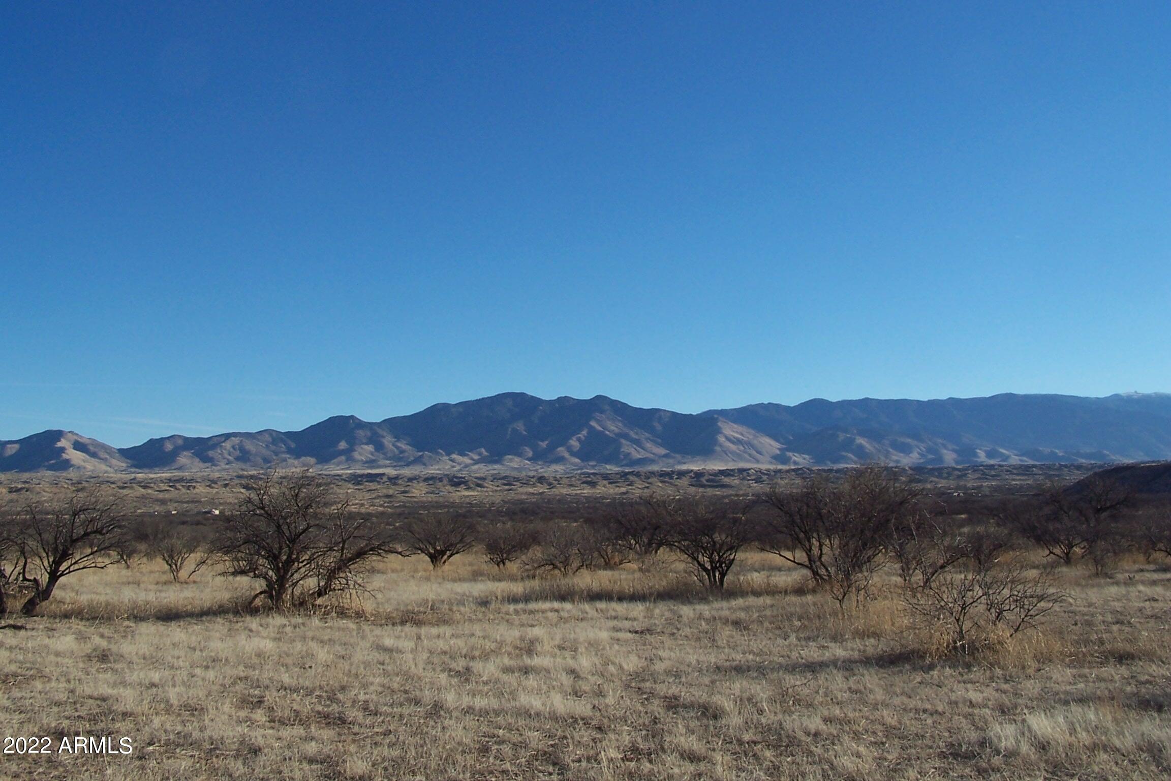 44.23-ac West Grey Bear Road, Unit 101 Willcox, AZ 85643 - Photo 4 of 21 a view of mountain view with mountain in the background