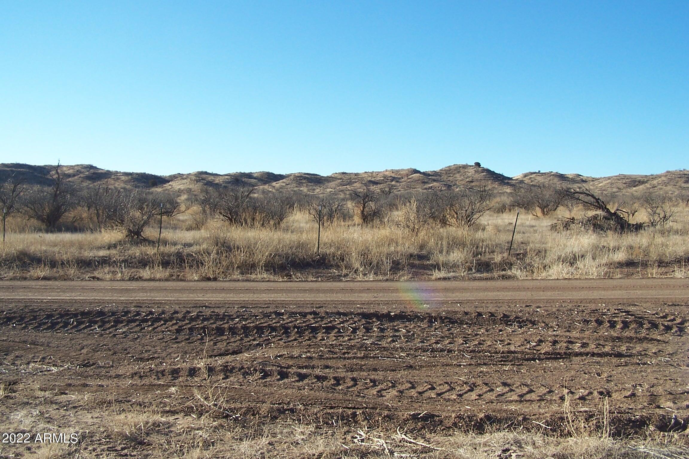 44.23-ac West Grey Bear Road, Unit 101 Willcox, AZ 85643 - Photo 7 of 21 a view of a yard with mountain and trees