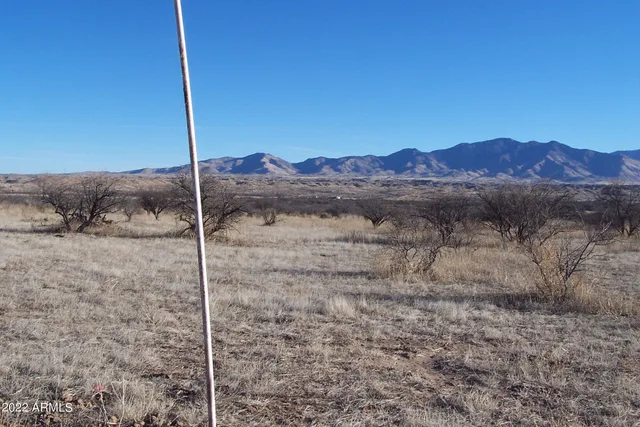 a view of a house with a yard and a forest