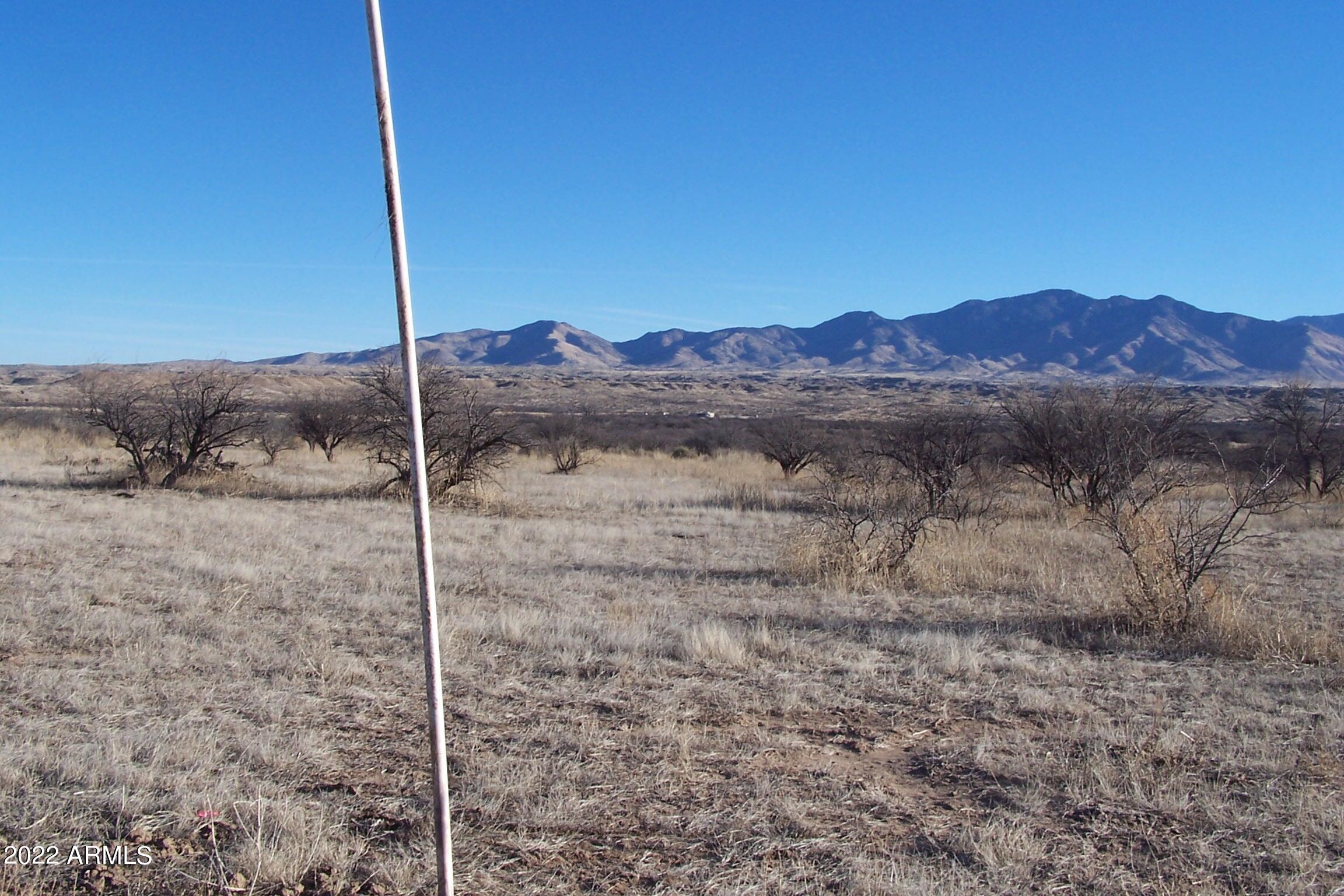44.23-ac West Grey Bear Road, Unit 101 Willcox, AZ 85643 - Photo 9 of 21 a view of a house with a yard and a forest