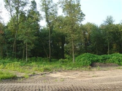 a view of backyard with green space