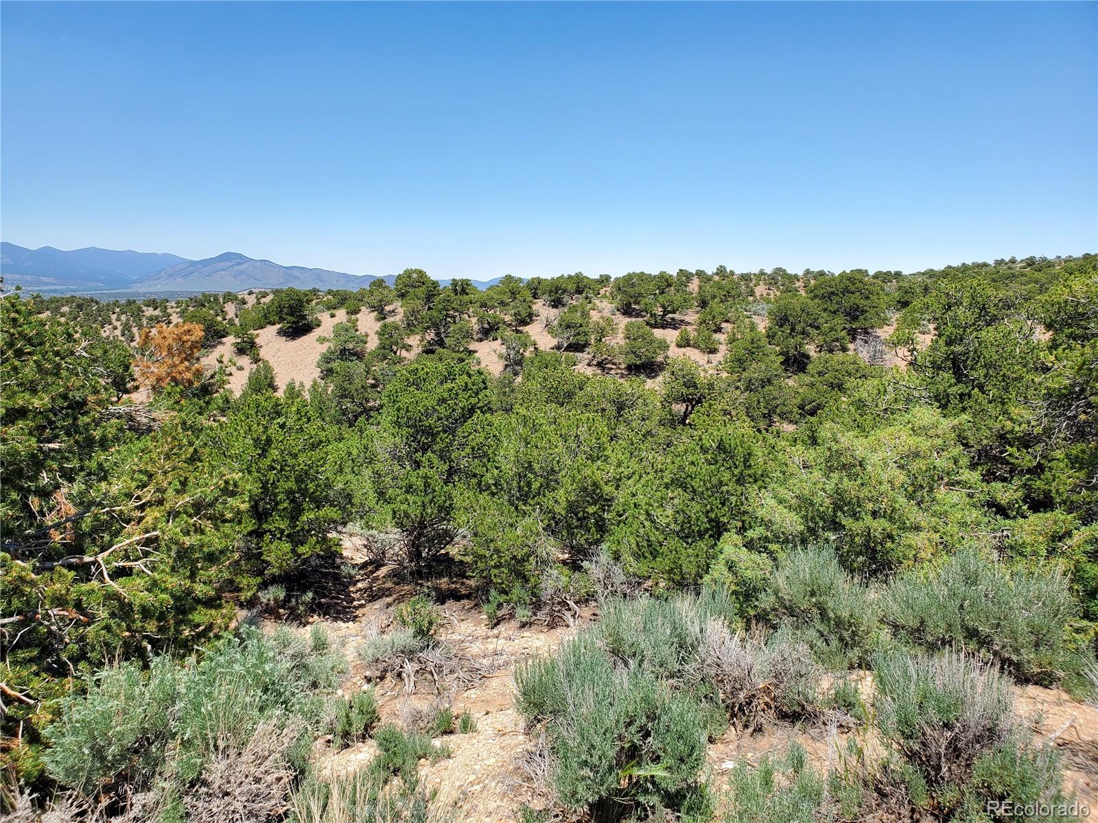 3842 Murray Road Fort Garland, CO 81133 - Photo 12 of 14 Gallery Image 12