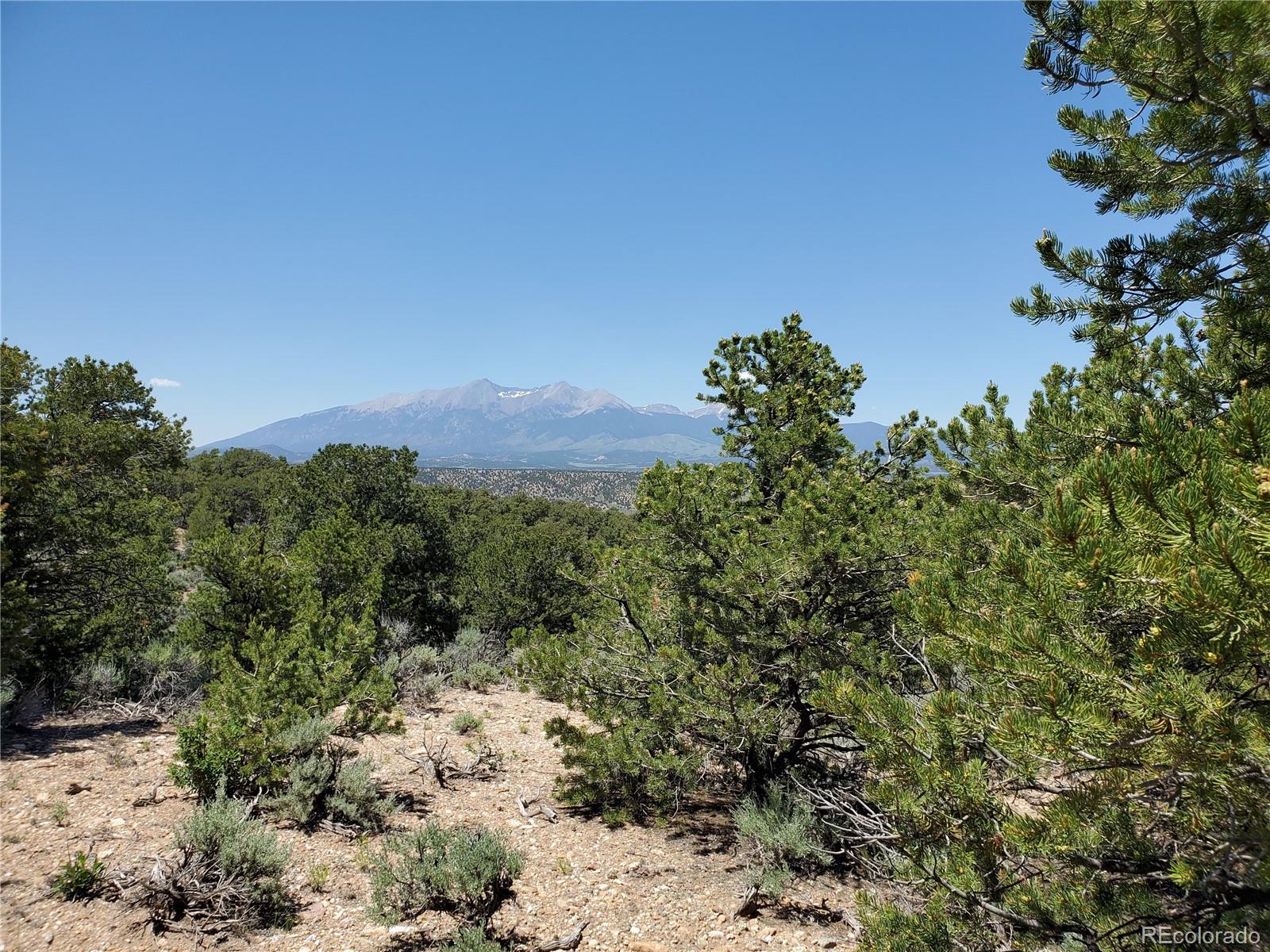 3842 Murray Road Fort Garland, CO 81133 - Photo 10 of 14 Gallery Image 10