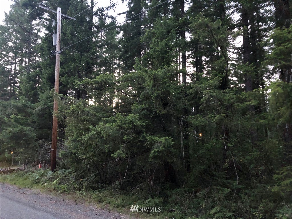 214 Osborn Road Ashford, WA 98304 - Photo 1 of 14 Gallery Image 1