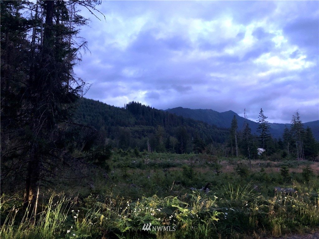 214 Osborn Road Ashford, WA 98304 - Photo 2 of 14 Gallery Image 2