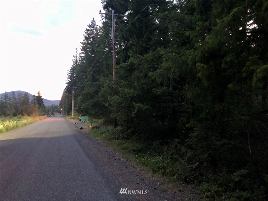 214 Osborn Road Ashford, WA 98304 - Photo 3 of 14 Gallery Image 3