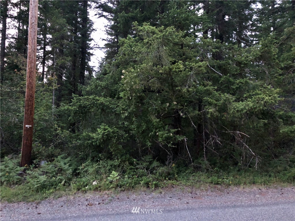 214 Osborn Road Ashford, WA 98304 - Photo 4 of 14 Gallery Image 4