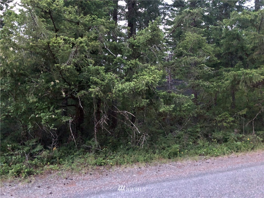 214 Osborn Road Ashford, WA 98304 - Photo 6 of 14 Gallery Image 6