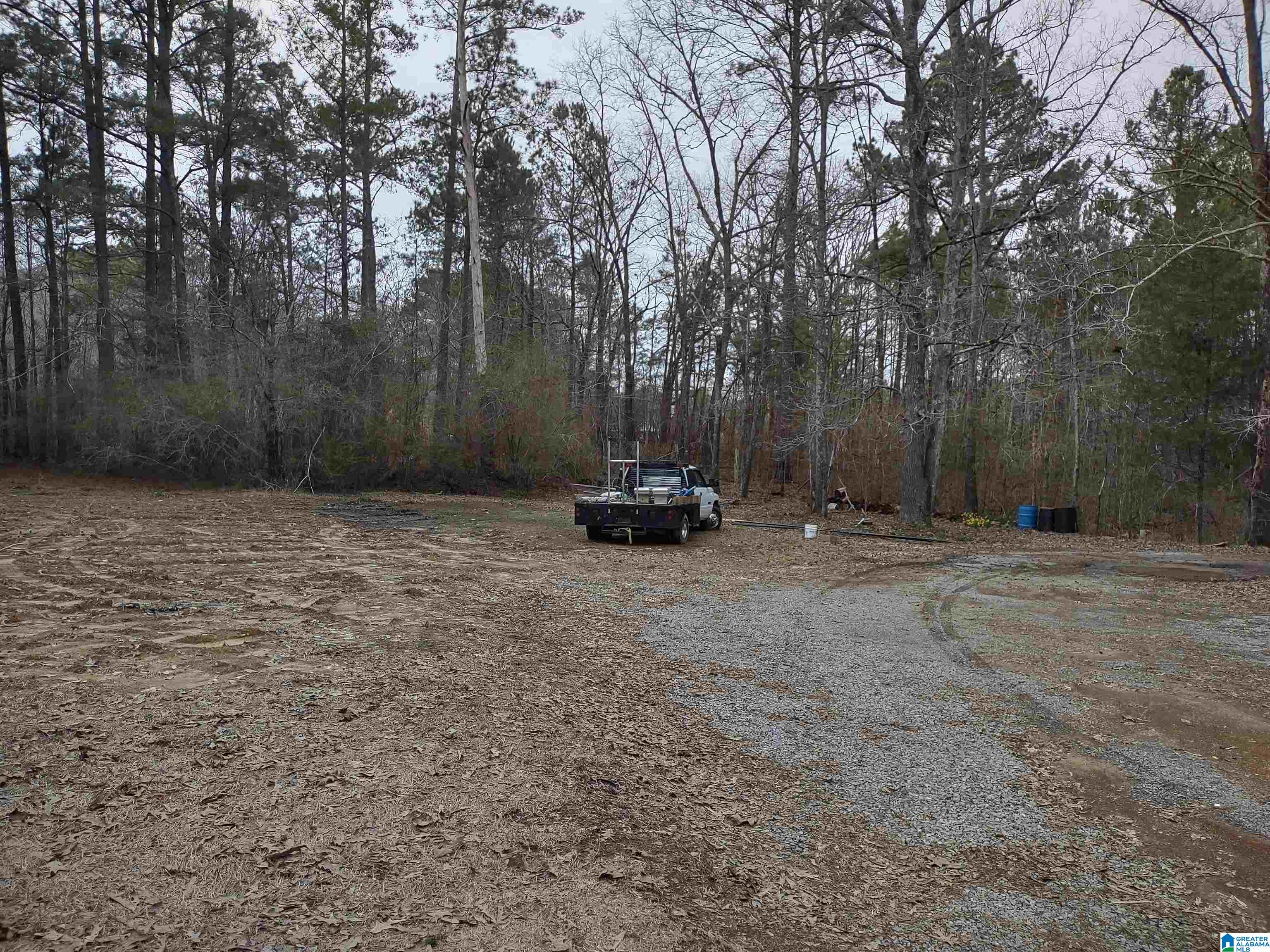 9208 Bradford Trafford Road Pinson, AL 35126 - Photo 19 of 20