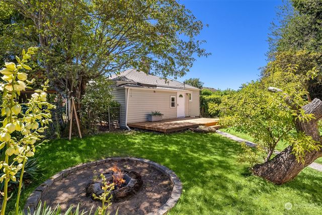a view of a backyard with plants and a large tree