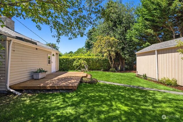 a view of backyard with potted plants and a large tree