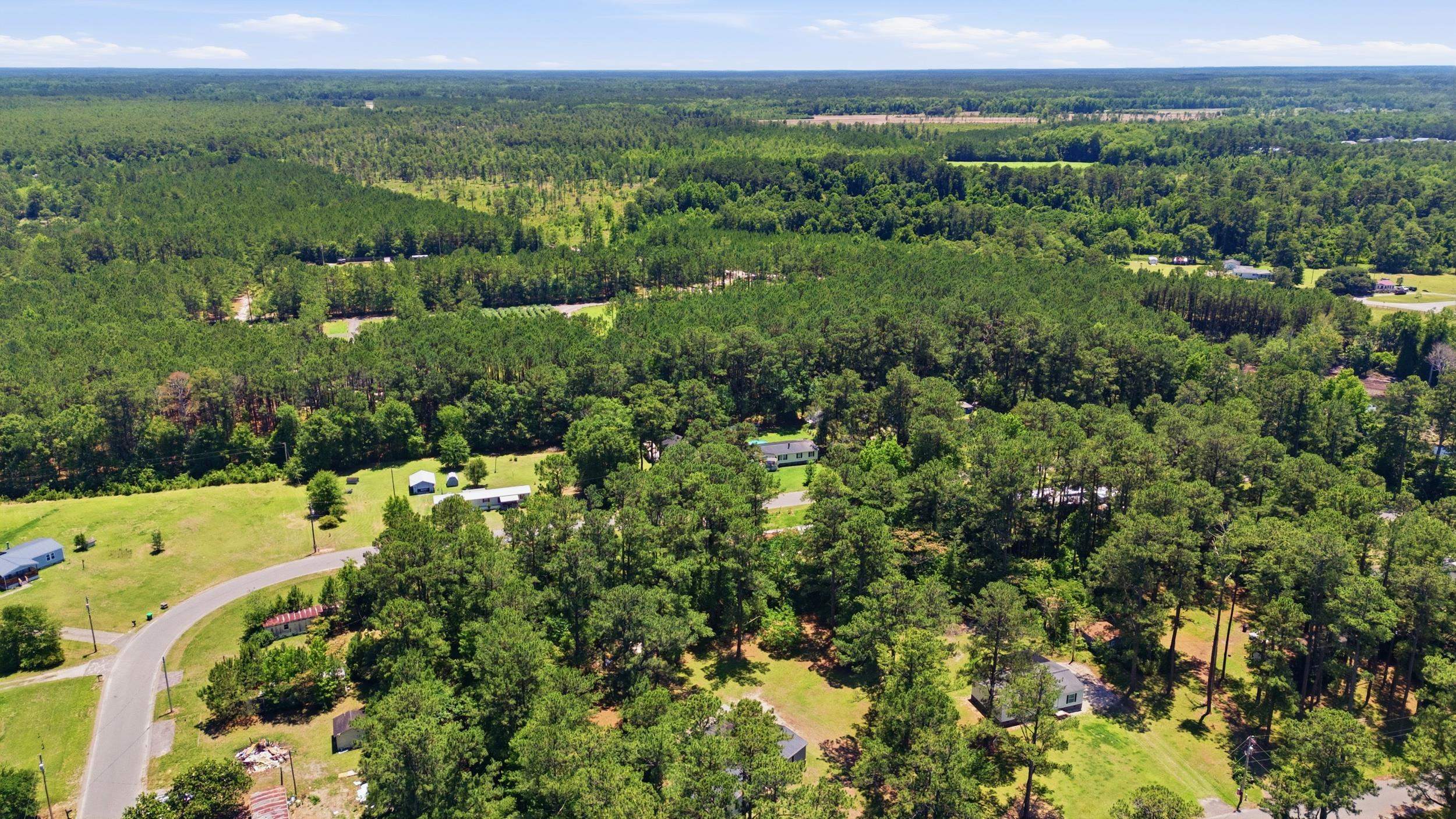 123 Quail Run Road Loris, SC 29569 - Photo 5 of 44