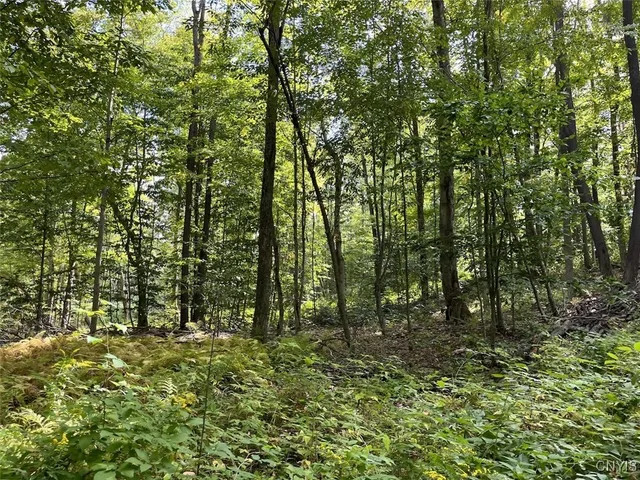 $190,000 | 9330 Ryan Road, Nunda, NY 14517