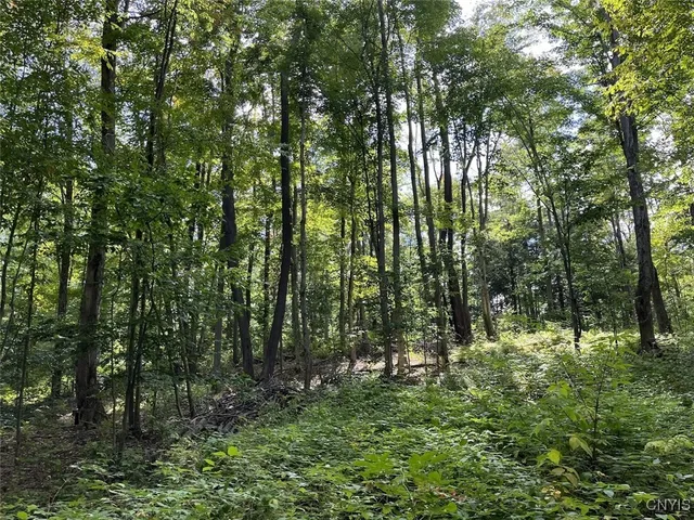 $190,000 | 9330 Ryan Road, Nunda, NY 14517