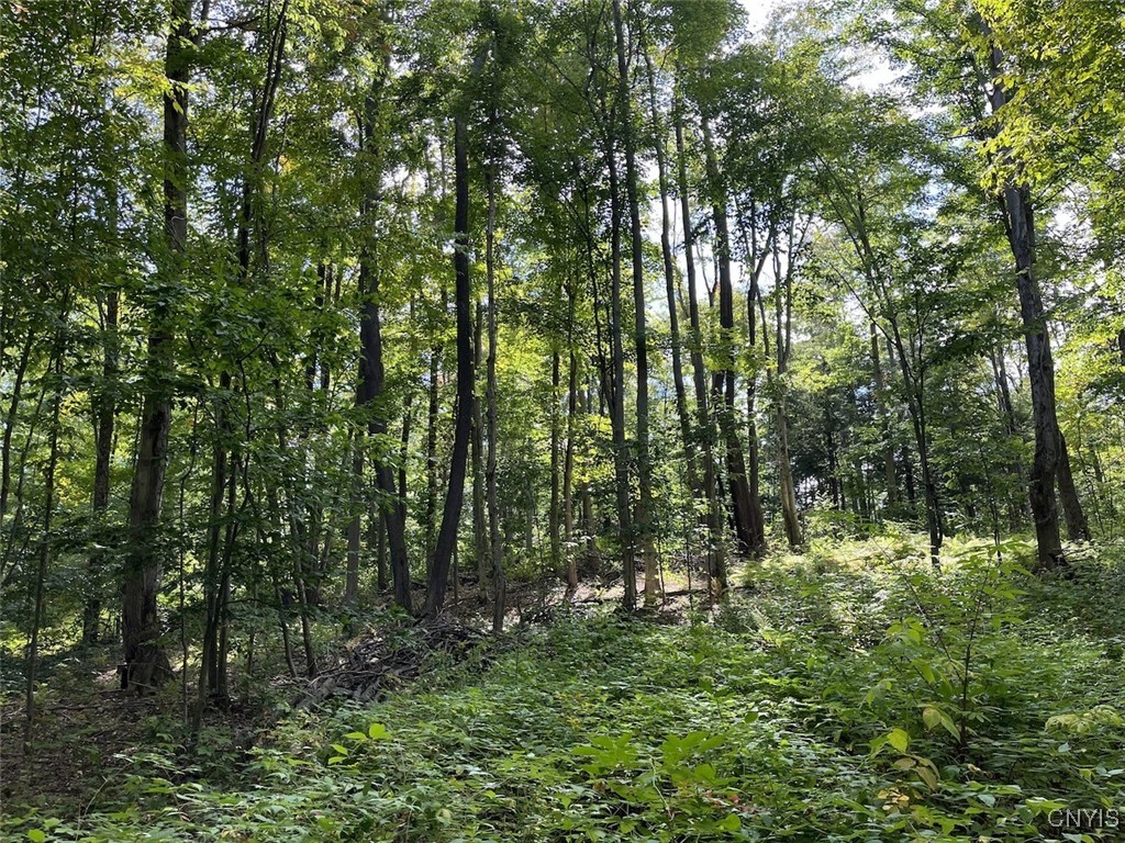 9330 Ryan Road Nunda, NY 14517 - Photo 2 of 29