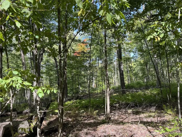 $190,000 | 9330 Ryan Road, Nunda, NY 14517