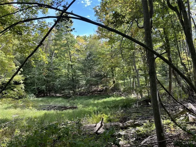 $190,000 | 9330 Ryan Road, Nunda, NY 14517