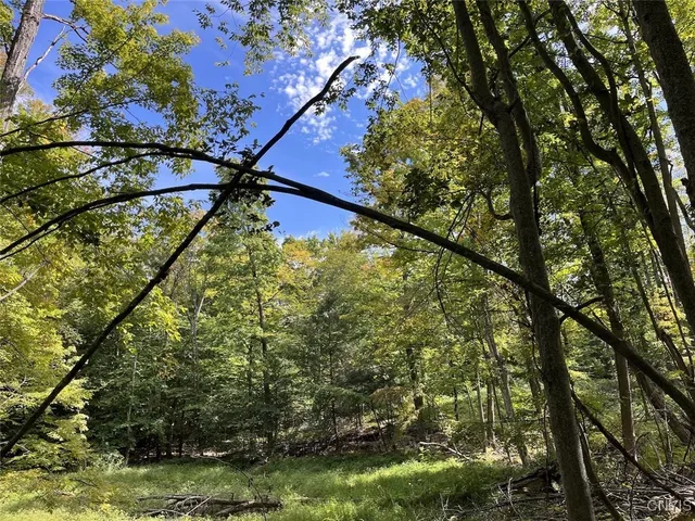 $190,000 | 9330 Ryan Road, Nunda, NY 14517