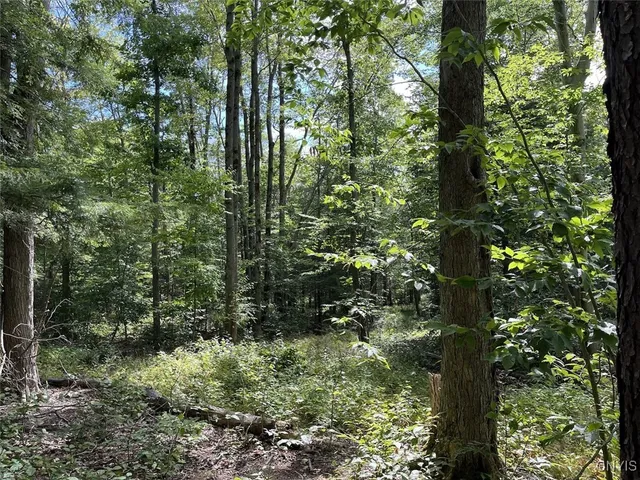 $190,000 | 9330 Ryan Road, Nunda, NY 14517