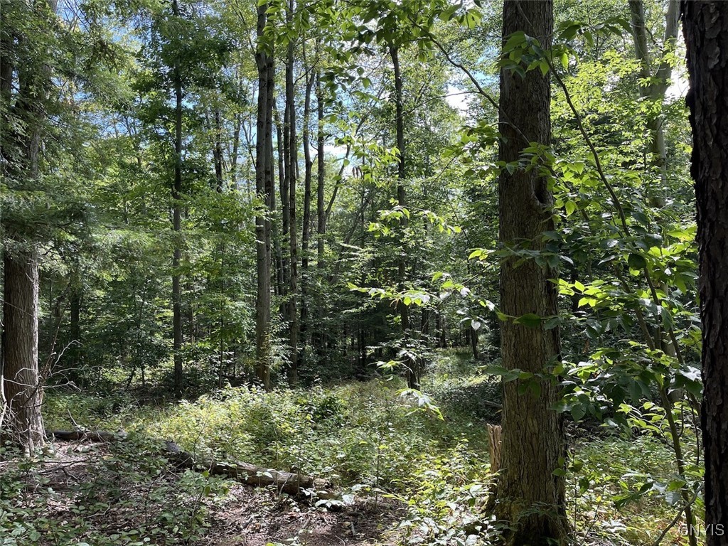 9330 Ryan Road Nunda, NY 14517 - Photo 24 of 29