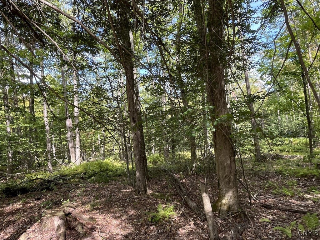 9330 Ryan Road Nunda, NY 14517 - Photo 25 of 29