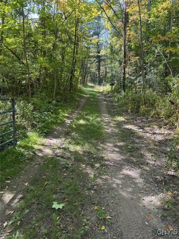 9330 Ryan Road Nunda, NY 14517 - Photo 27 of 29