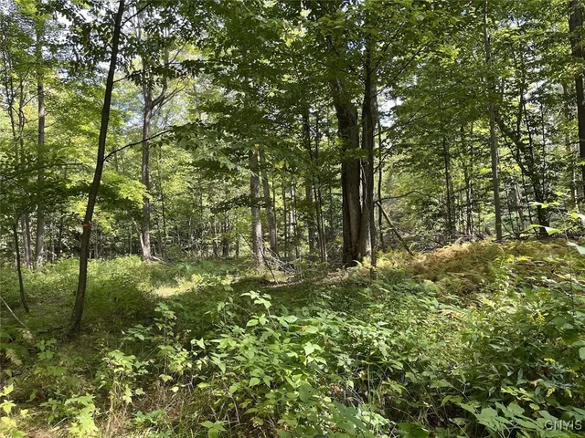 $190,000 | 9330 Ryan Road, Nunda, NY 14517