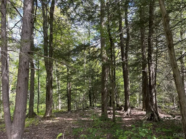 $190,000 | 9330 Ryan Road, Nunda, NY 14517