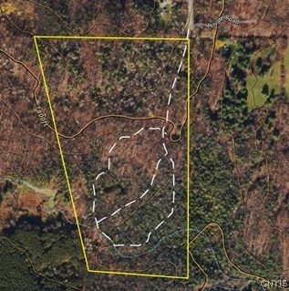 9330 Ryan Road Nunda, NY 14517 - Photo 5 of 29