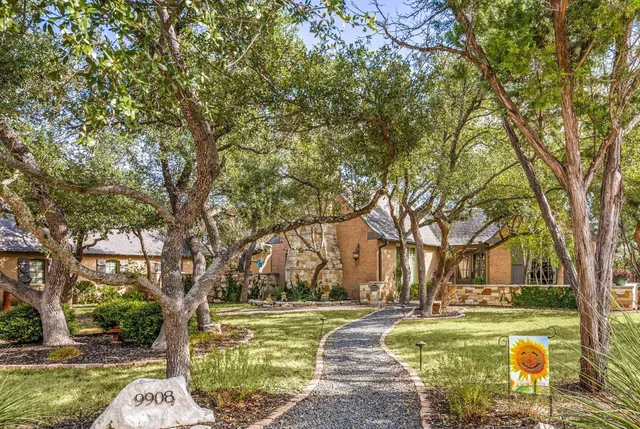 a view of a yard with a tree