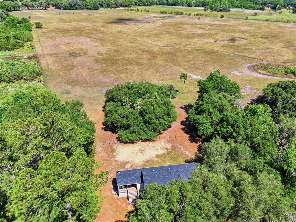 22130 Northwest 75th Avenue Road Micanopy, FL 32667 - Photo 45 of 52